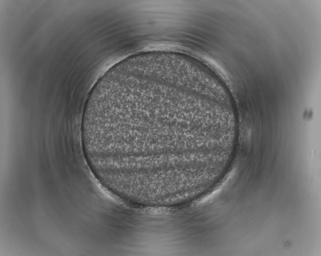 X0000094441041200711291631