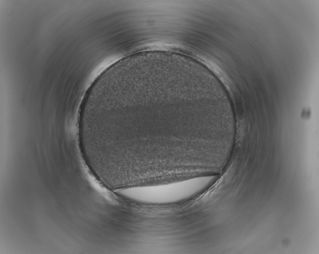 X0000094441042200711291631