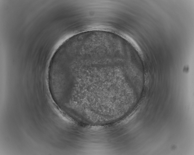 X0000094441043200711291631