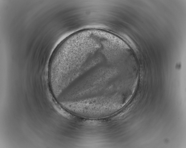 X0000094441044200711291631