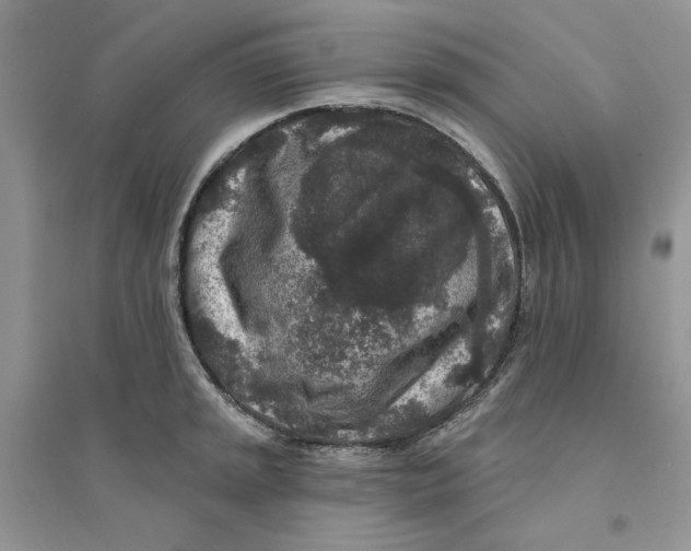 X0000094441045200711291631