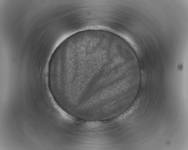 X0000094441046200711291631