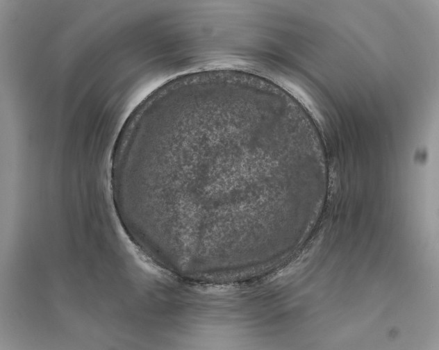 X0000094441047200711291631