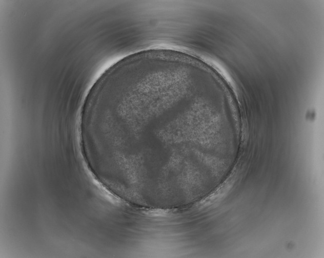 X0000094441048200711291631