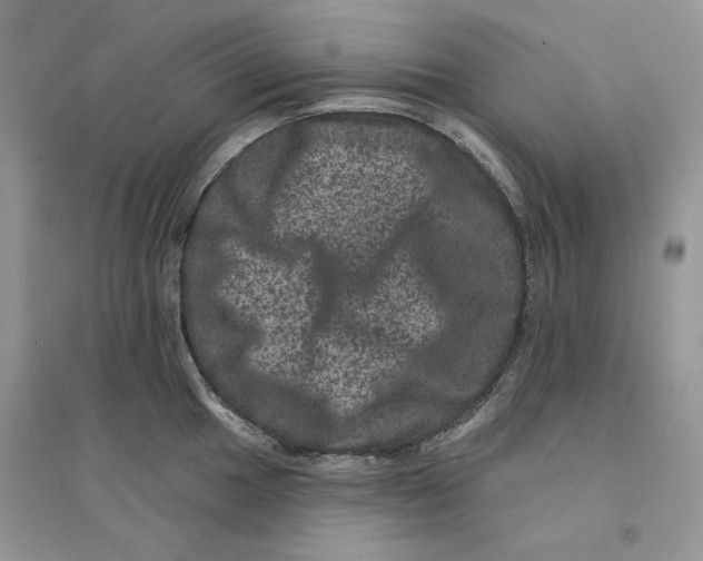 X0000094441049200711291631