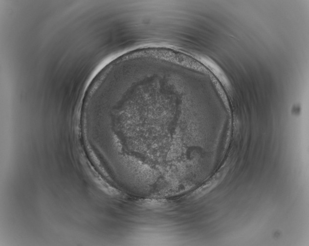 X0000094441052200711291631