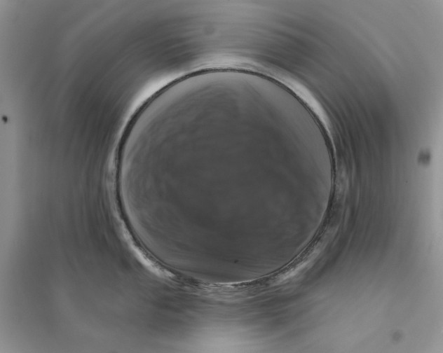 X0000094441053200711291631