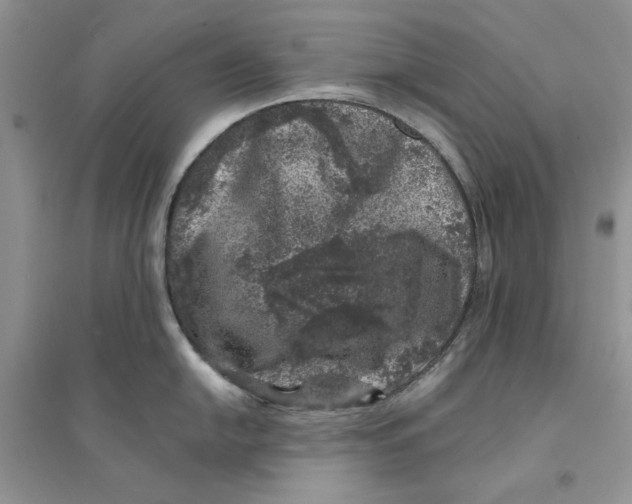 X0000094441054200711291631