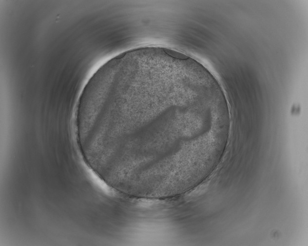 X0000094441056200711291631