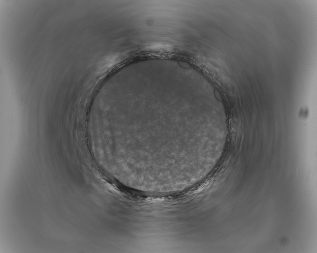 X0000094441057200711291630