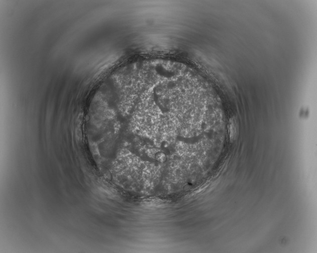 X0000094441059200711291630