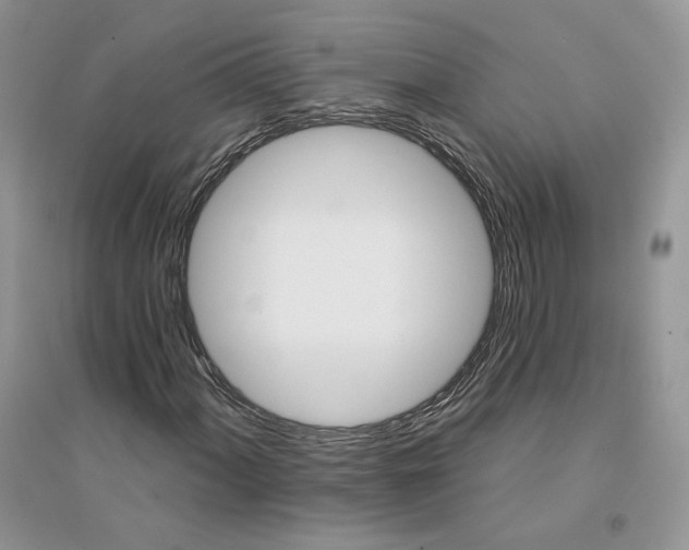 X0000094441060200711291630