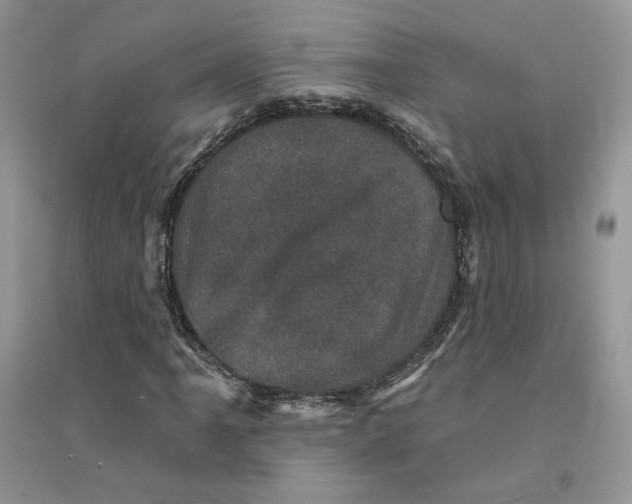 X0000094441061200711291630