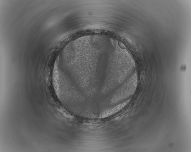 X0000094441062200711291630