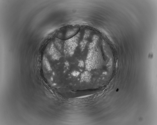 X0000094441063200711291630