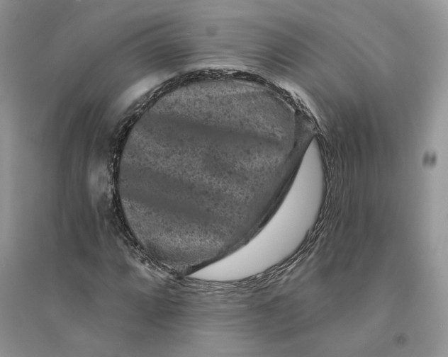 X0000094441064200711291630