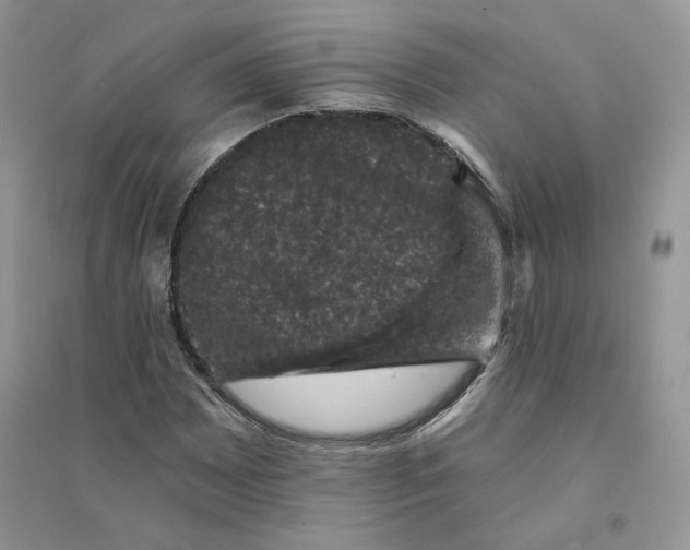 X0000094441065200711291630