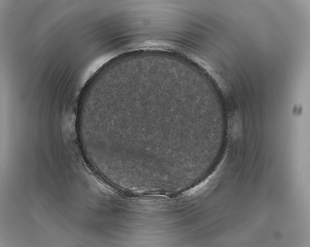 X0000094441066200711291630