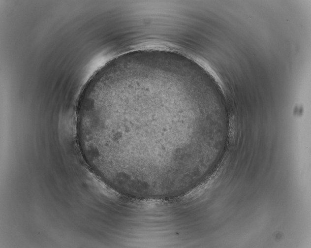 X0000094441067200711291630