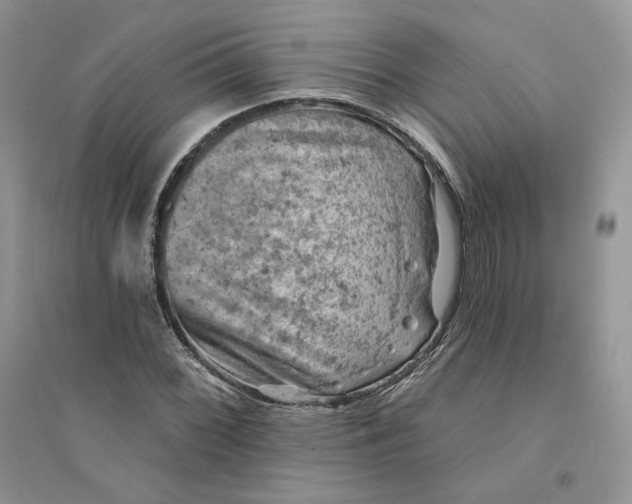 X0000094441068200711291630