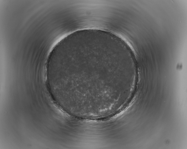 X0000094441069200711291630