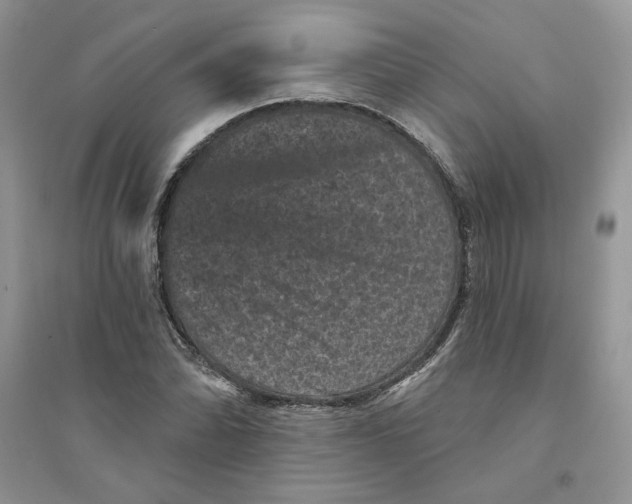 X0000094441070200711291630