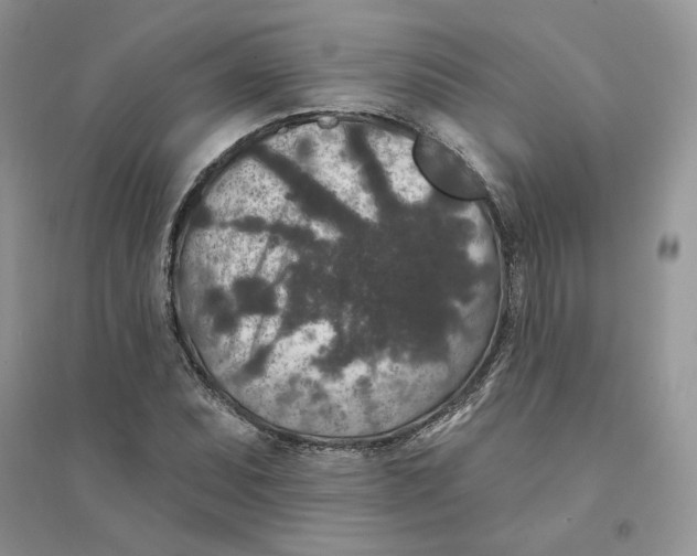 X0000094441071200711291630