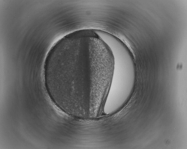 X0000094441072200711291630