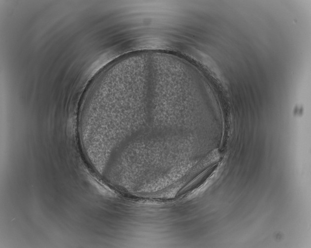 X0000094441073200711291630