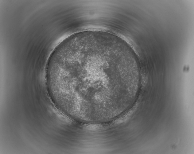 X0000094441074200711291630