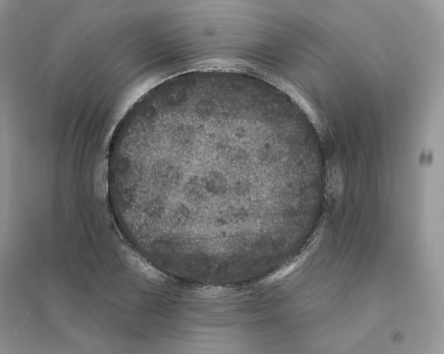 X0000094441075200711291630