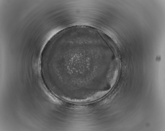 X0000094441076200711291630