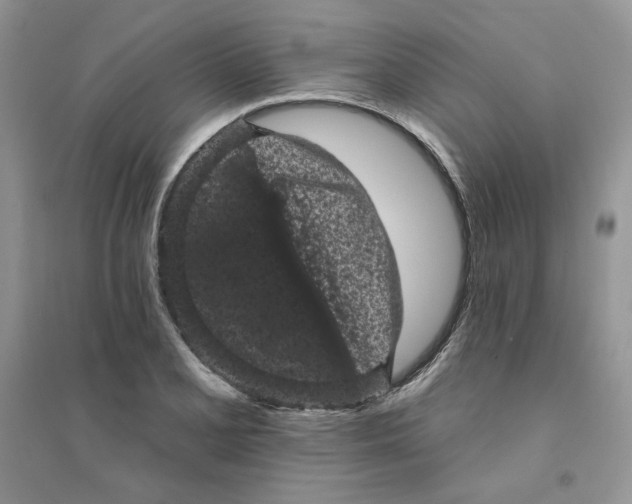 X0000094441077200711291630