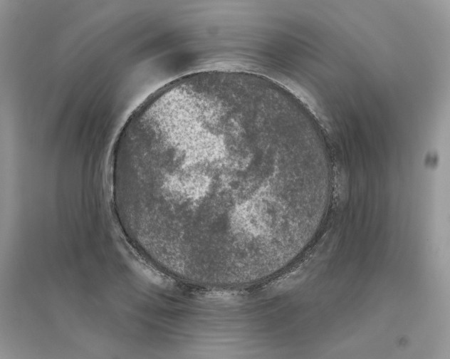 X0000094441078200711291630