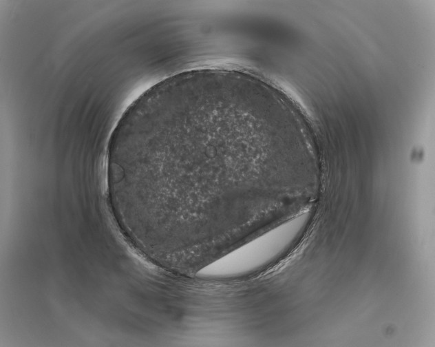 X0000094441079200711291630