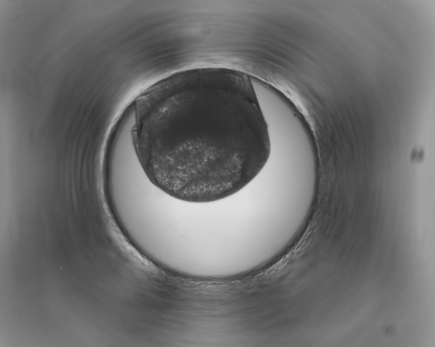 X0000094441080200711291630