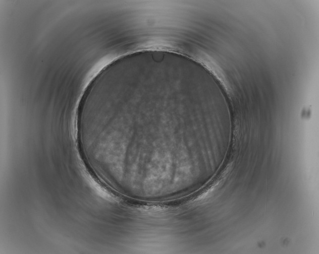 X0000094441082200711291630