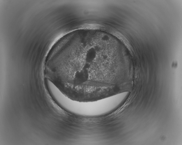 X0000094441083200711291630