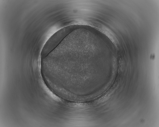 X0000094441084200711291630