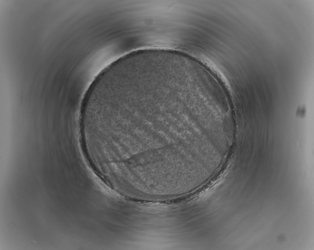 X0000094441085200711291630