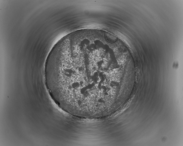 X0000094441087200711291630