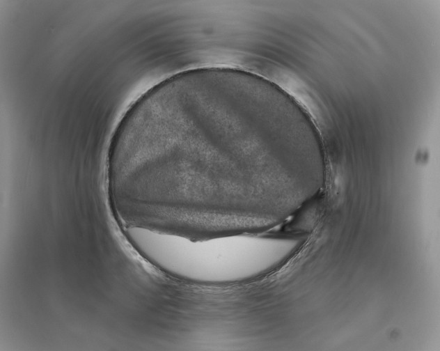 X0000094441088200711291630