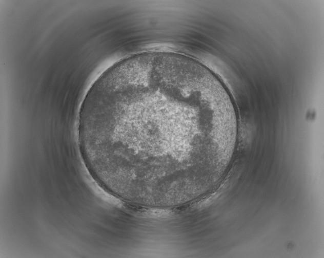 X0000094441090200711291630