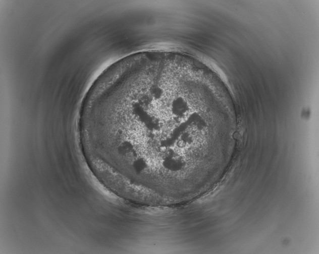 X0000094441091200711291630