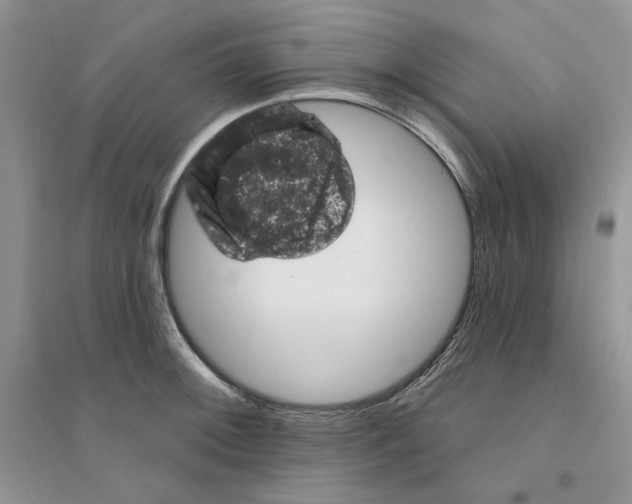 X0000094441092200711291630