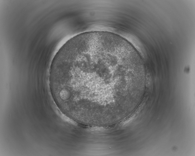 X0000094441094200711291630