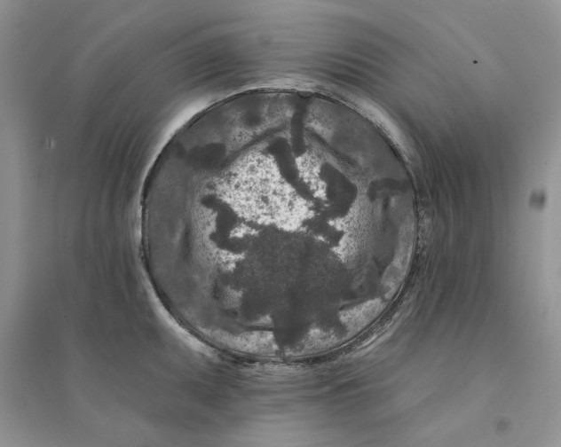 X0000094441095200711291630