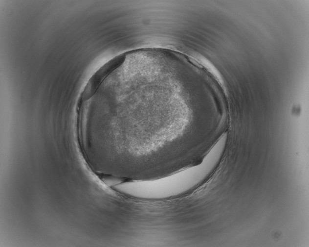 X0000094441096200711291630