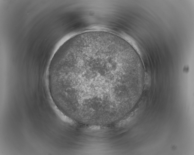 X0000094441098200711291630