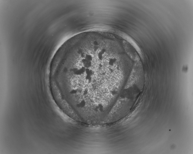 X0000094441099200711291630